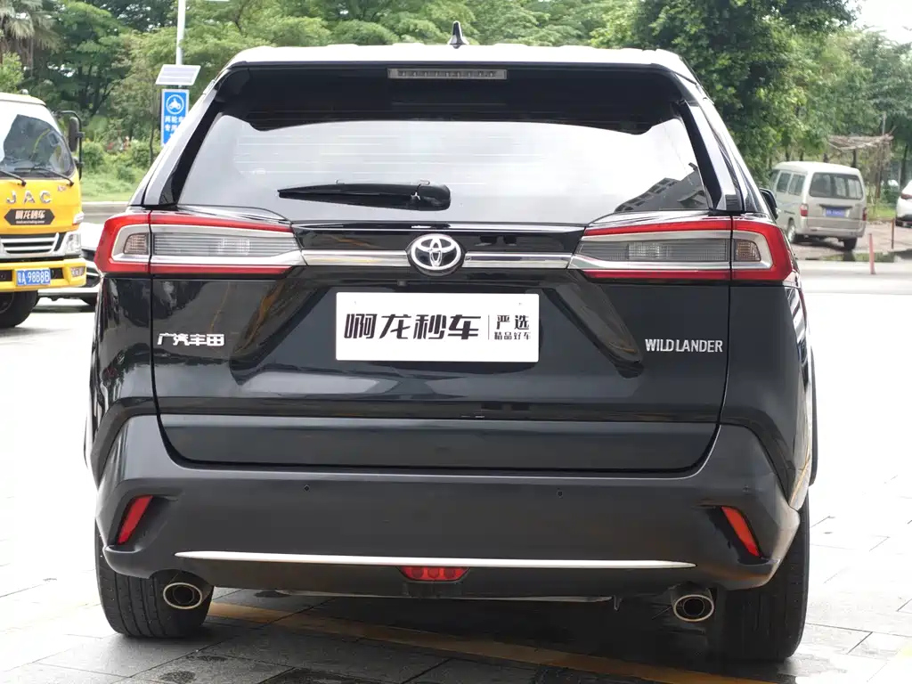 TOYOTA WILDLANDER 2020