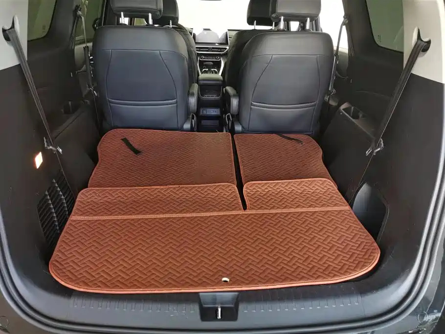 MAXUS OTHER 2020
