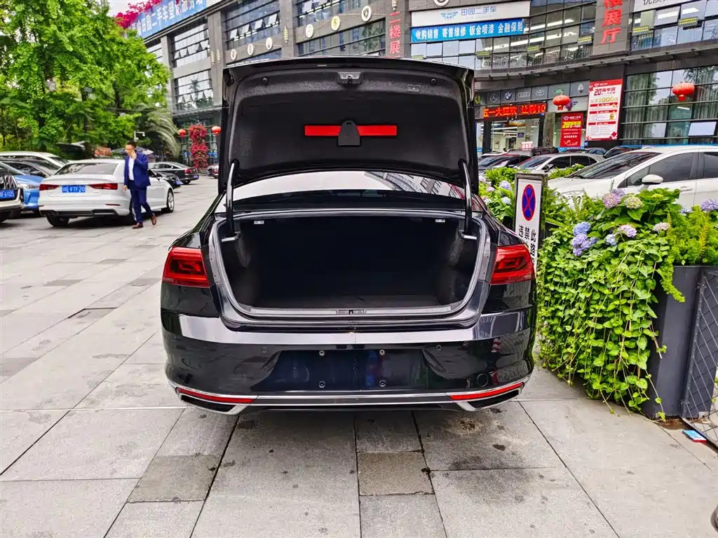 VOLKSWAGEN MAGOTAN 2020