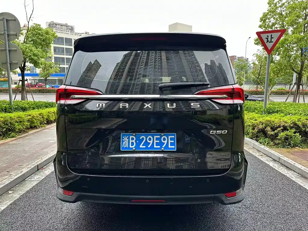 MAXUS OTHER 2019