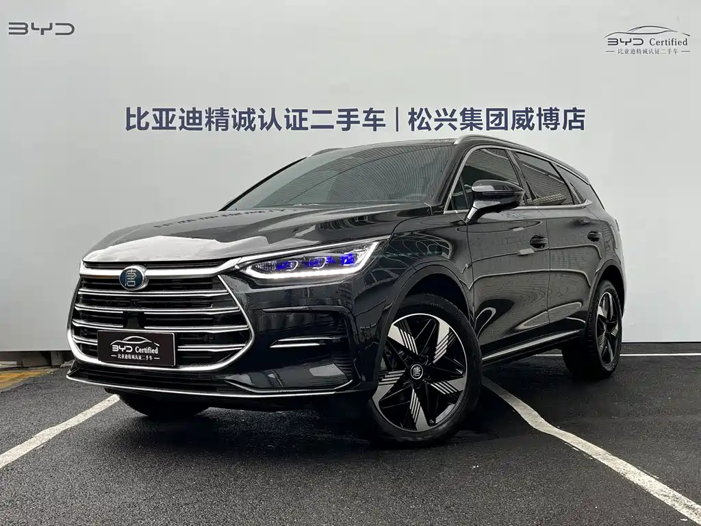 Аукционный лист BYD TANG NEW ENERGY 2024