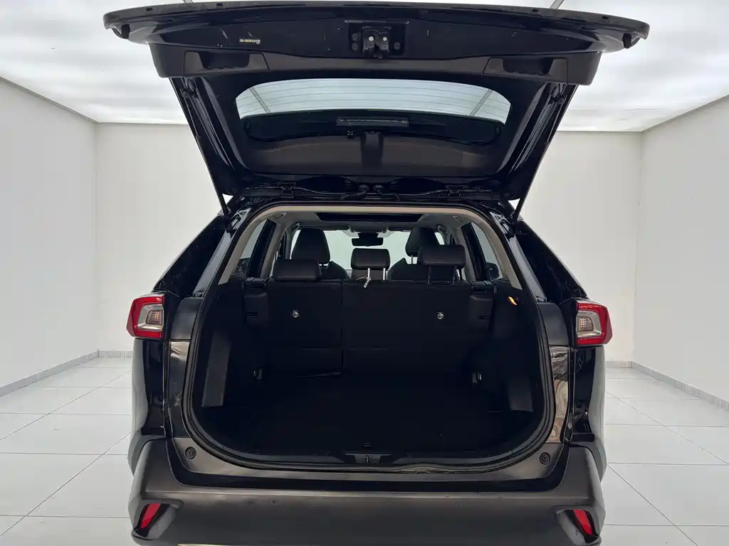 TOYOTA WILDLANDER 2020