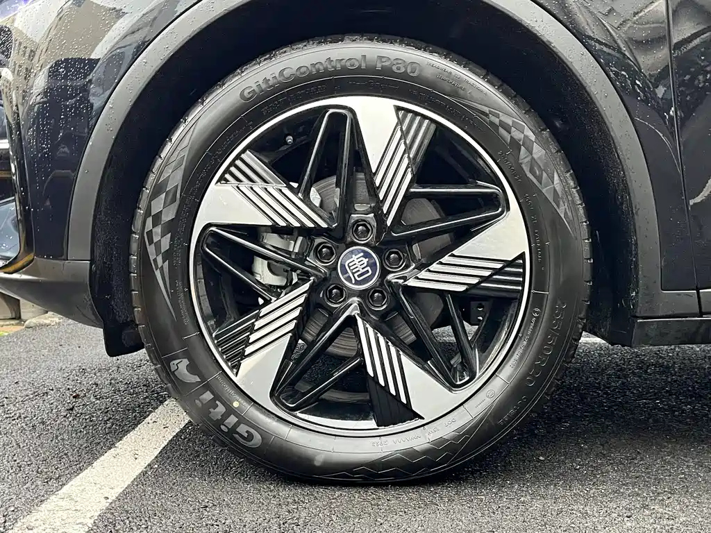 BYD TANG NEW ENERGY 2024