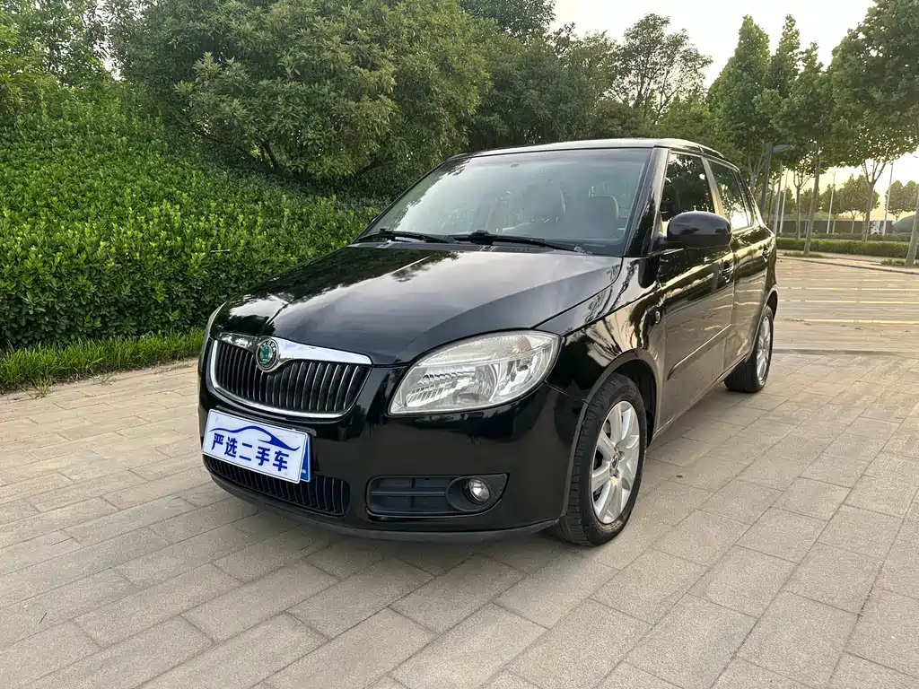 Аукционный лист SKODA FASCIA 2009