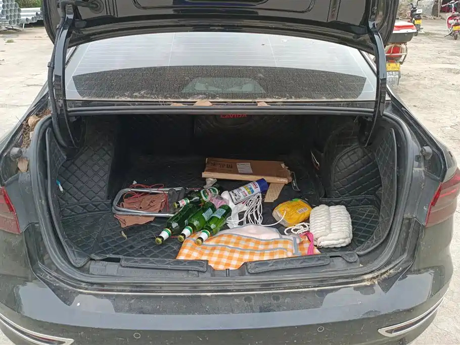 VOLKSWAGEN LAVIDA 2019