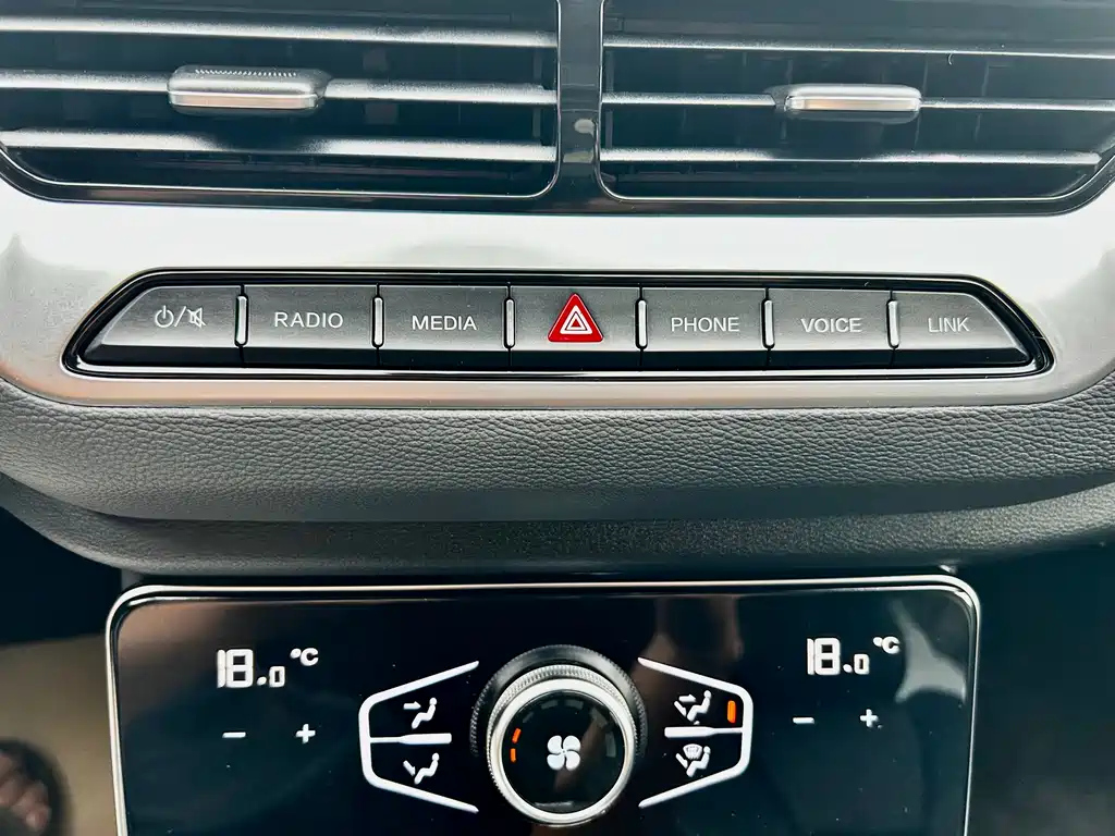 HONGQI H5 2022