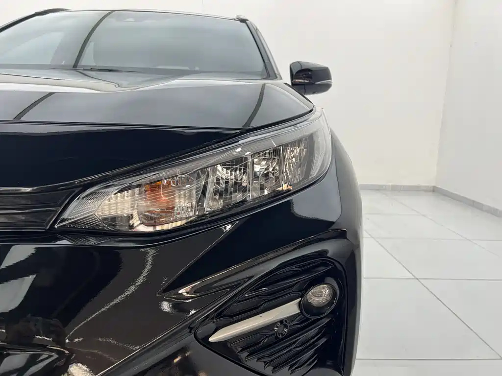 TOYOTA WILDLANDER 2020