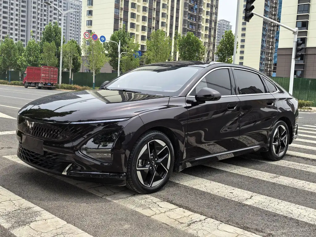 Аукционный лист SGMW OTHER 2023