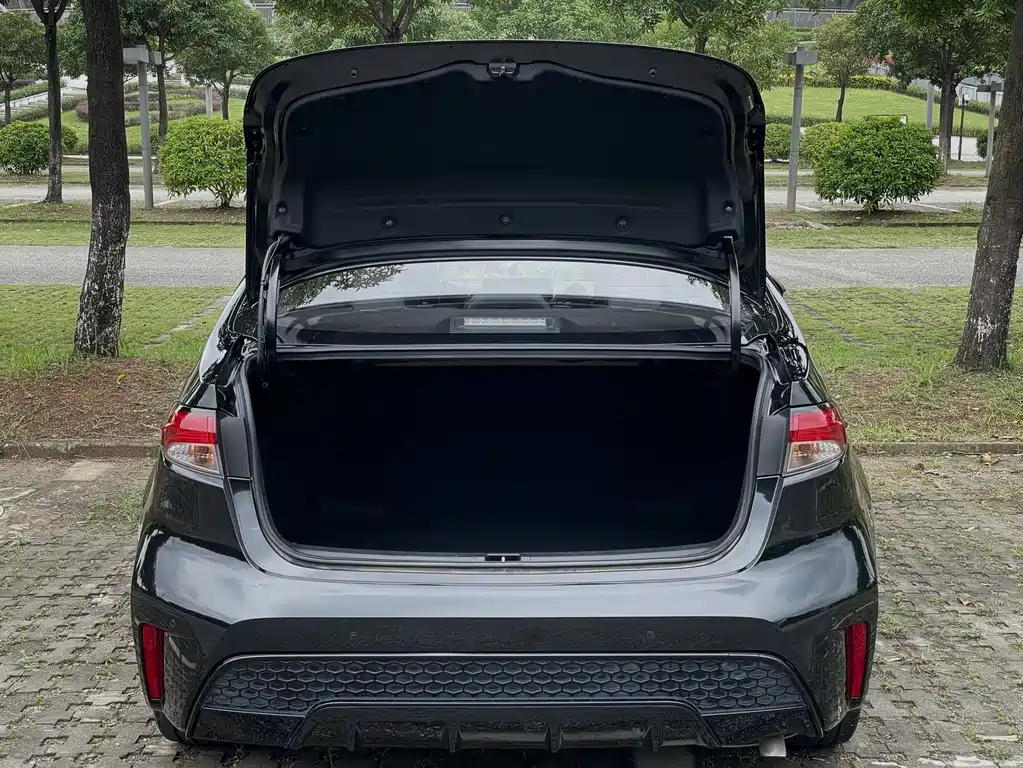 TOYOTA RALINK 2022