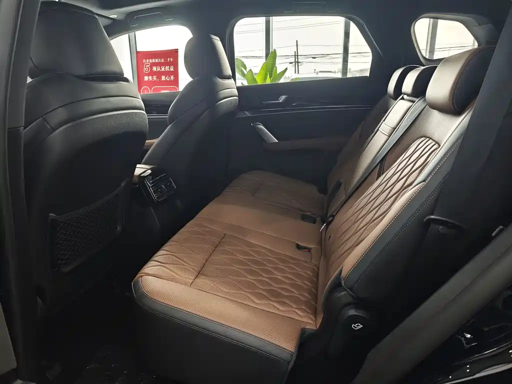 BYD TANG NEW ENERGY 2024