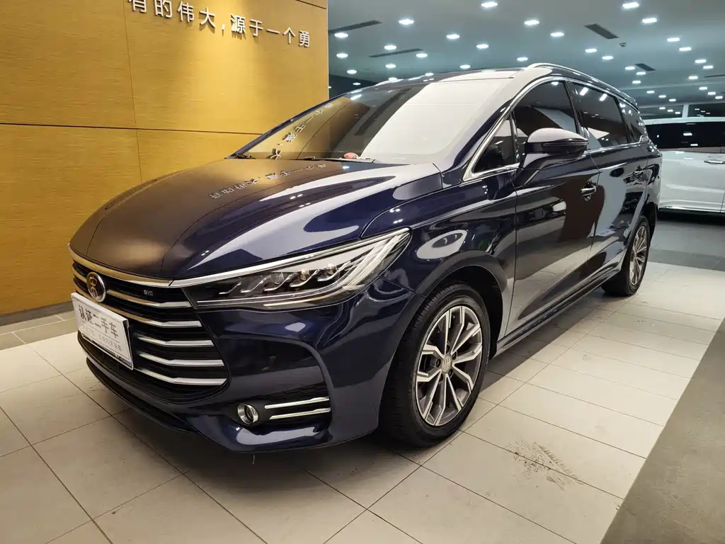Аукционный лист BYD SONG MAX 2020