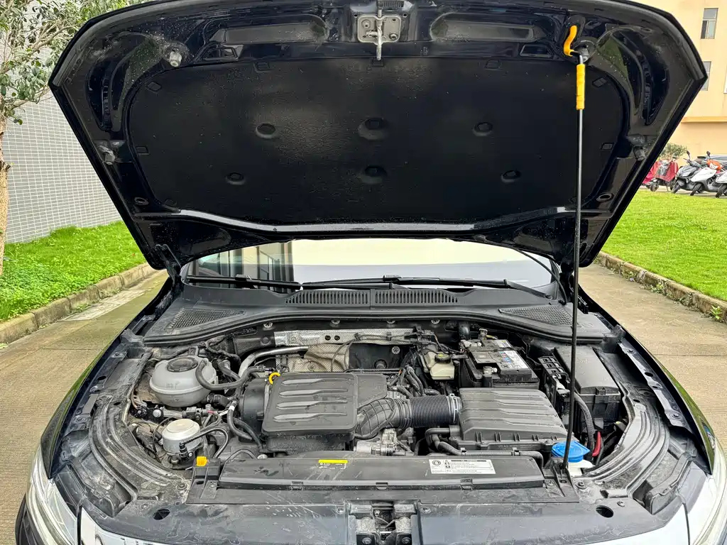 VOLKSWAGEN LAVIDA 2019