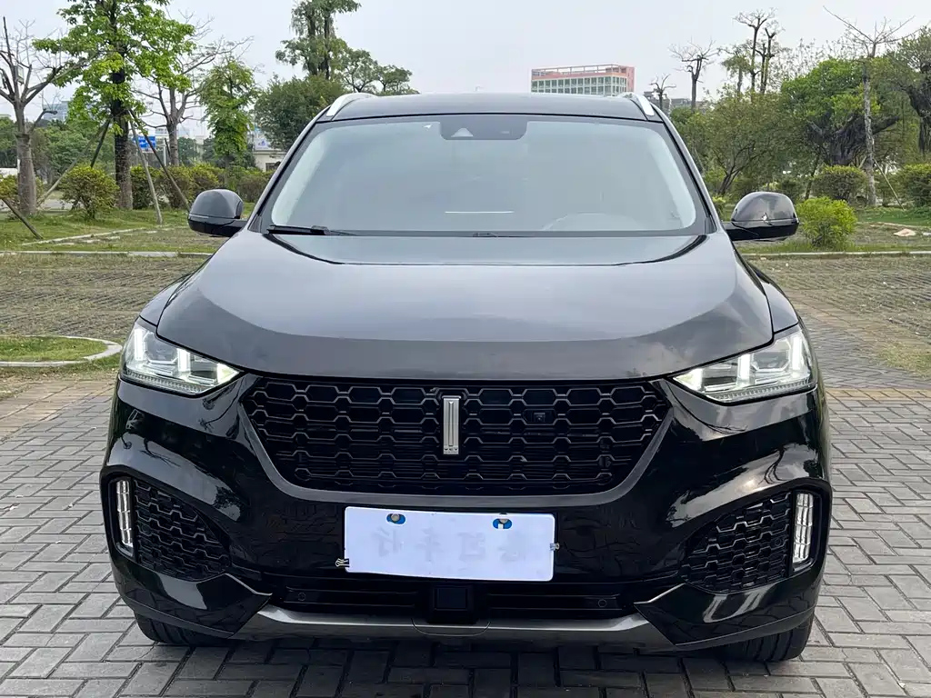 WEY VV6 2019