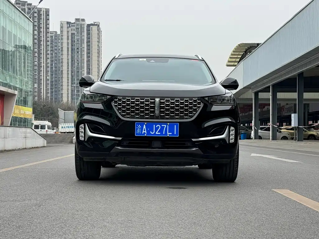 WEY VV6 2021