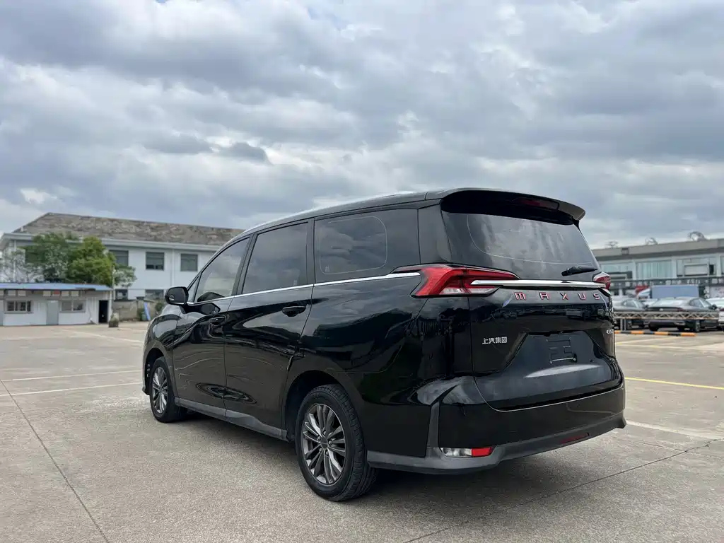 MAXUS OTHER 2019