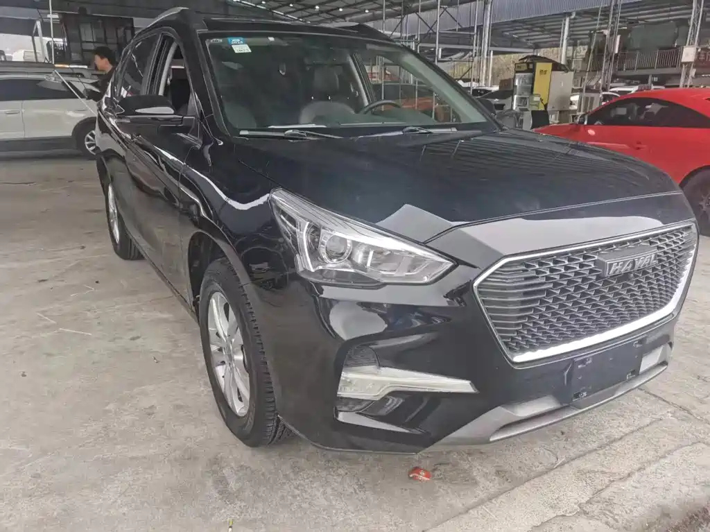 HAVAL M6 2019