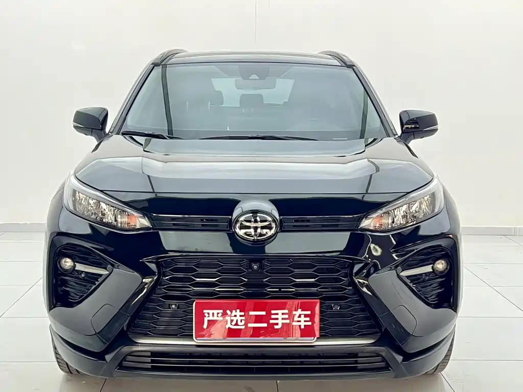TOYOTA WILDLANDER 2020