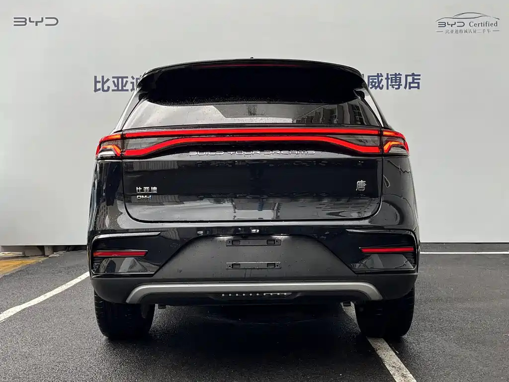 BYD TANG NEW ENERGY 2024