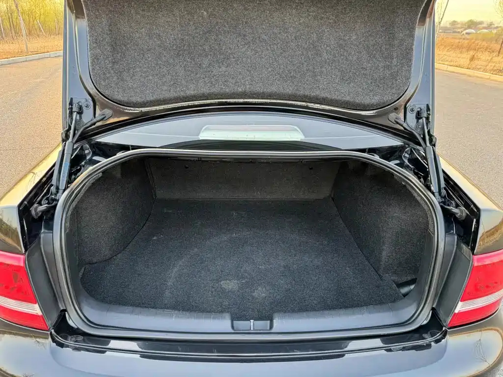 VOLKSWAGEN OTHER 2010