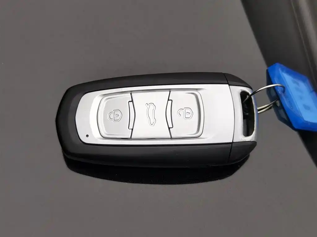 GEELY AUTO BOYUE 2019