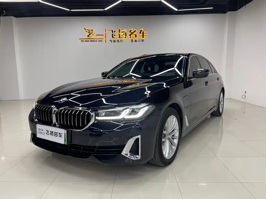 BMW 5-SERIES NEW ENERGY 2021
