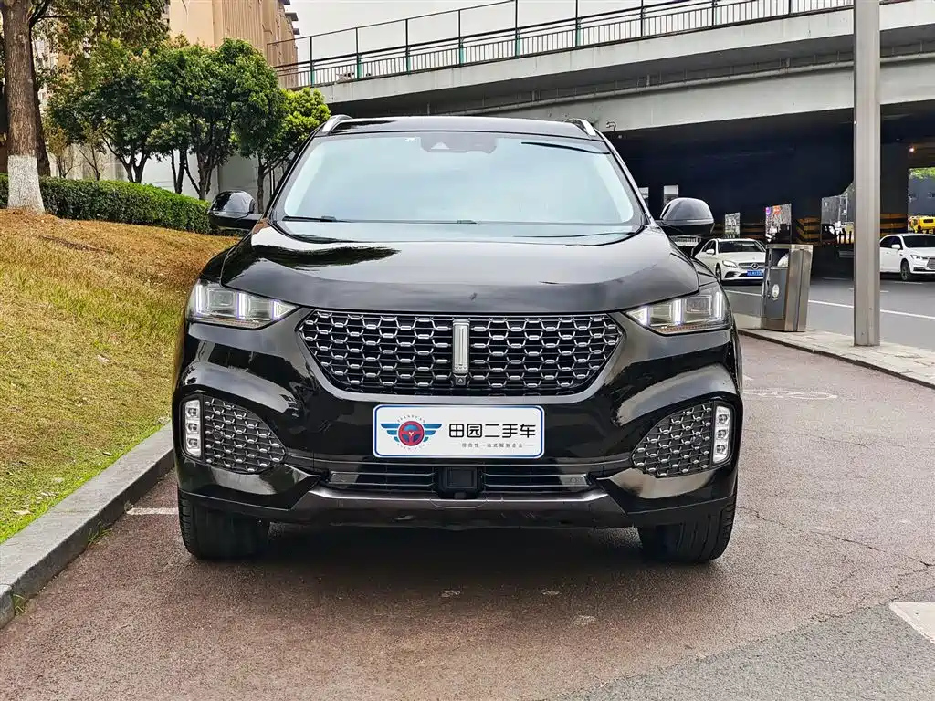 WEY VV6 2020
