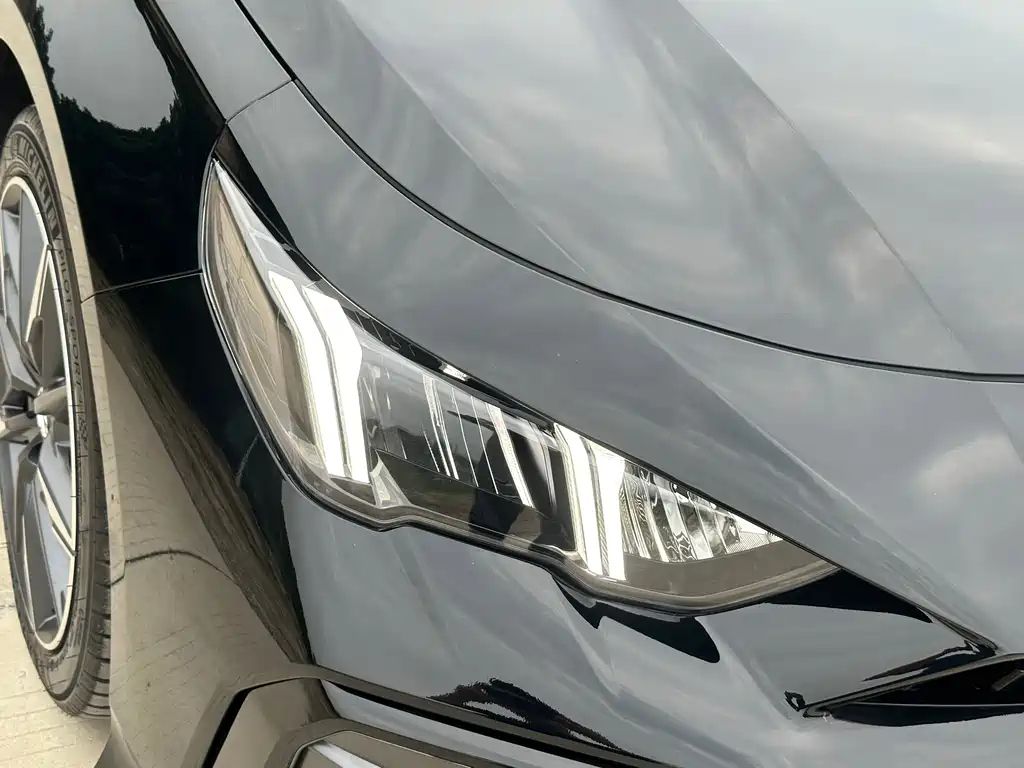 TRUMPCHI EMPOW 2024