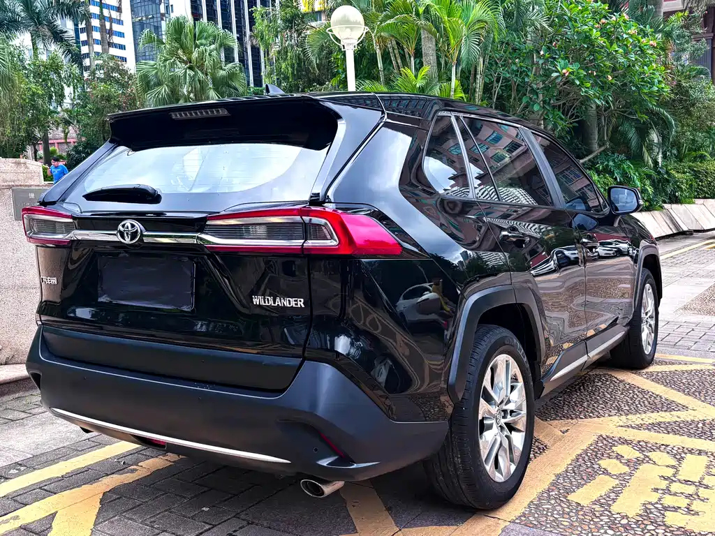 TOYOTA WILDLANDER 2021