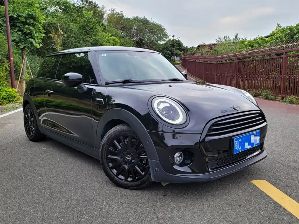 MINI OTHER 2021