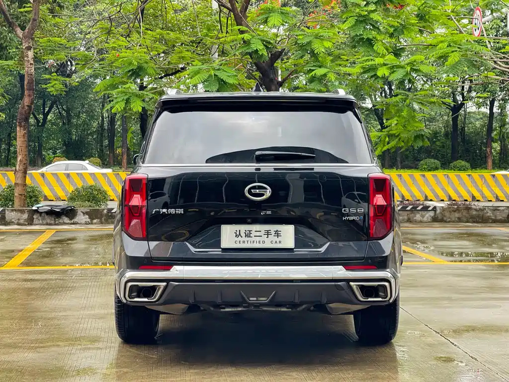 TRUMPCHI GS8 2022