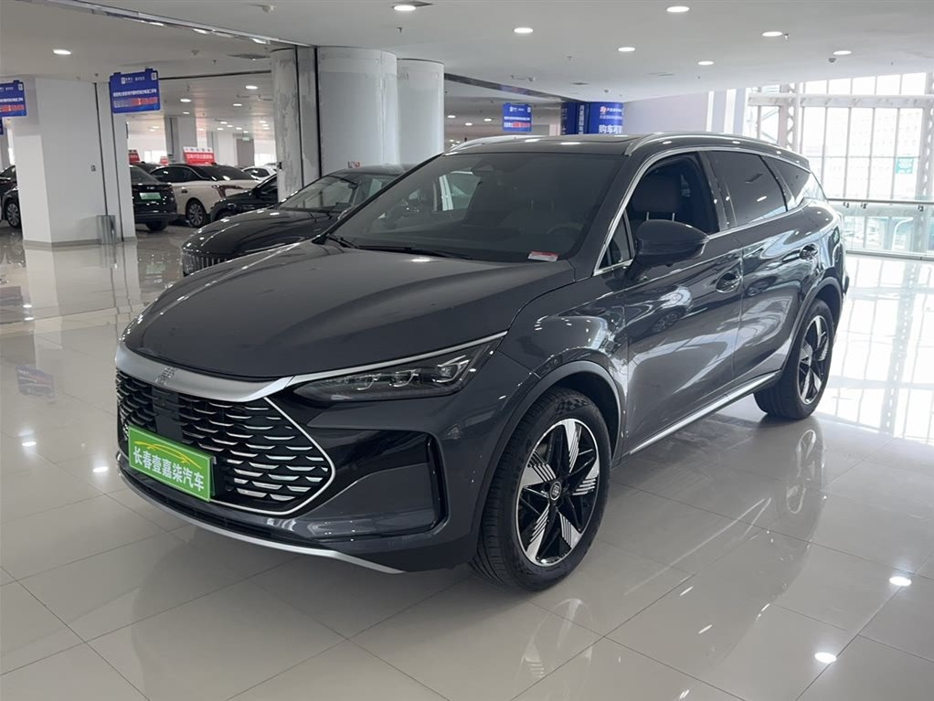 BYD TANG NEW ENERGY