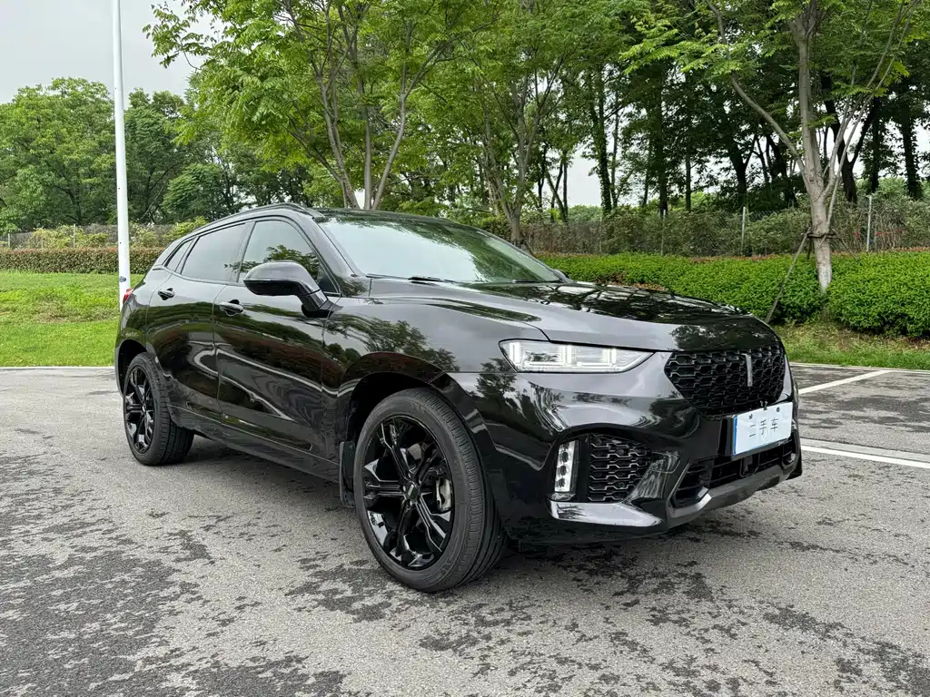 WEY VV7 2017