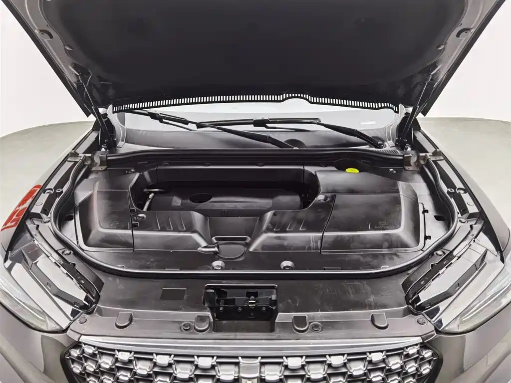 WEY VV6 2020