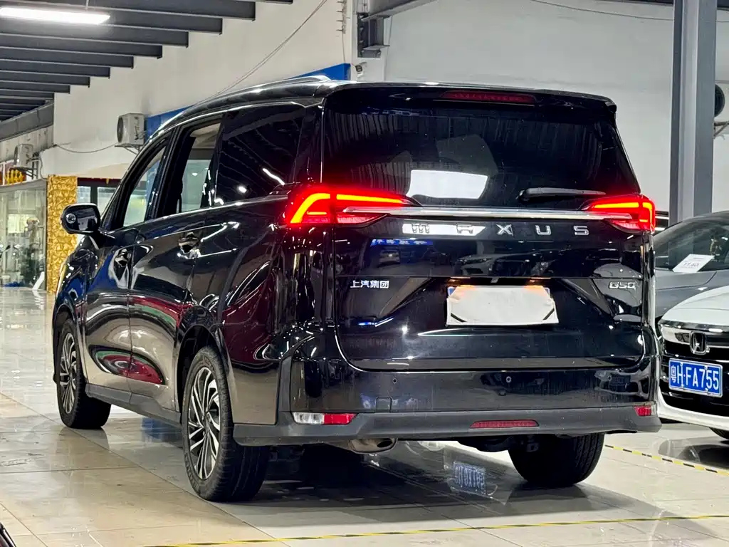 MAXUS OTHER 2020