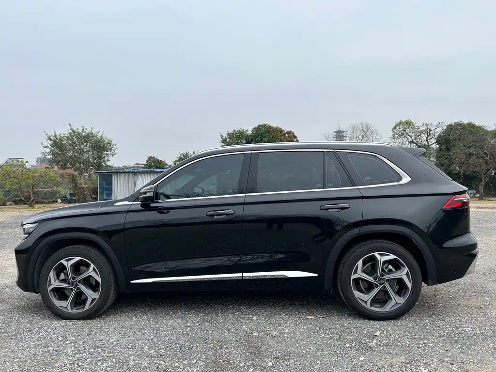 GEELY AUTO MONJARO 2022