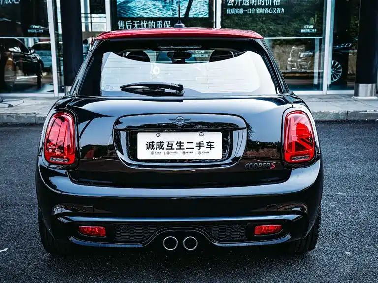 MINI OTHER 2019