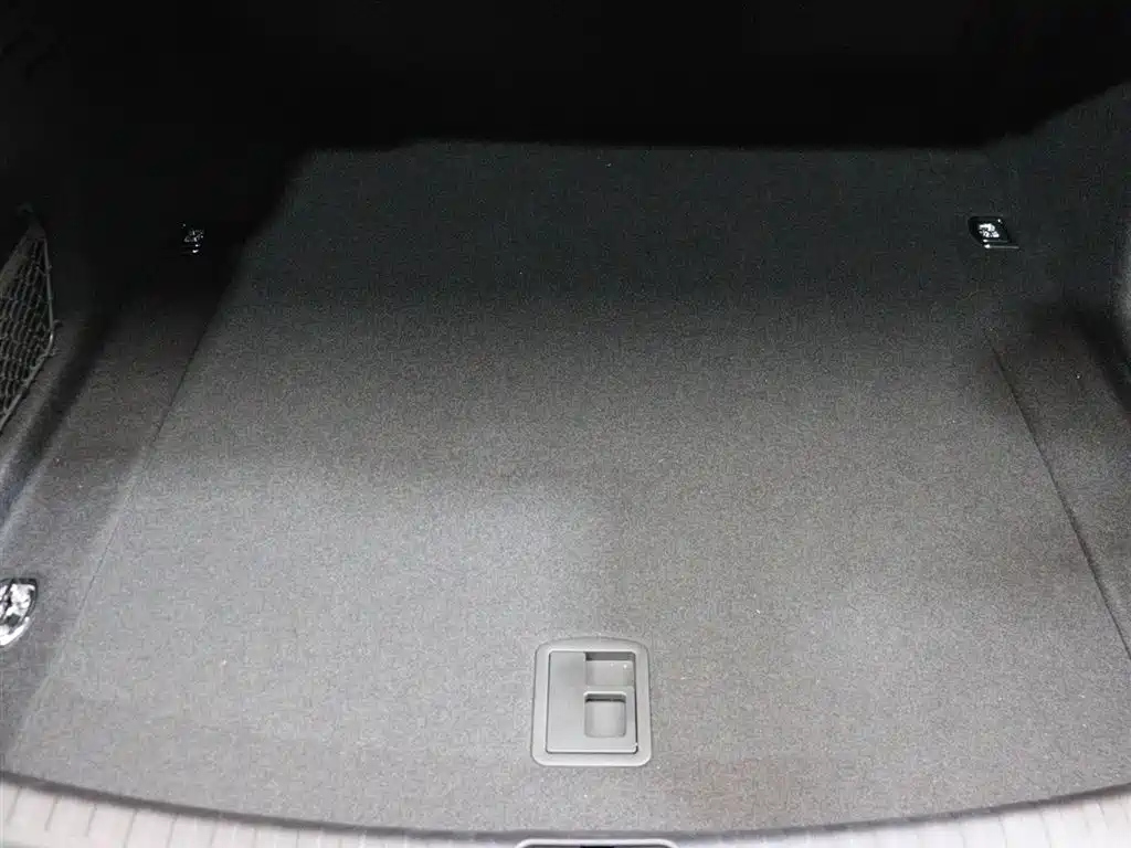 AUDI A6L 2024