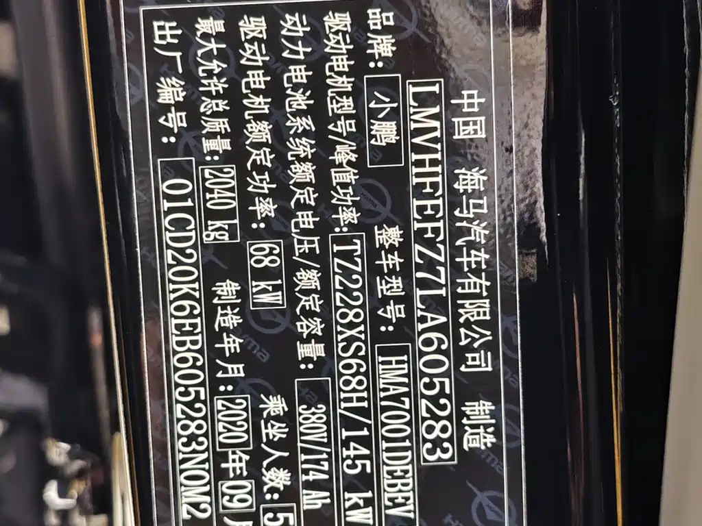 XPENG MOTORS G3 2020