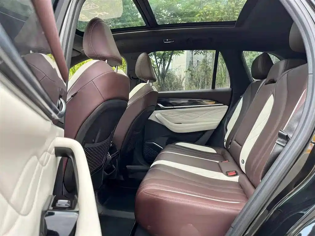 GEELY AUTO MONJARO 2020