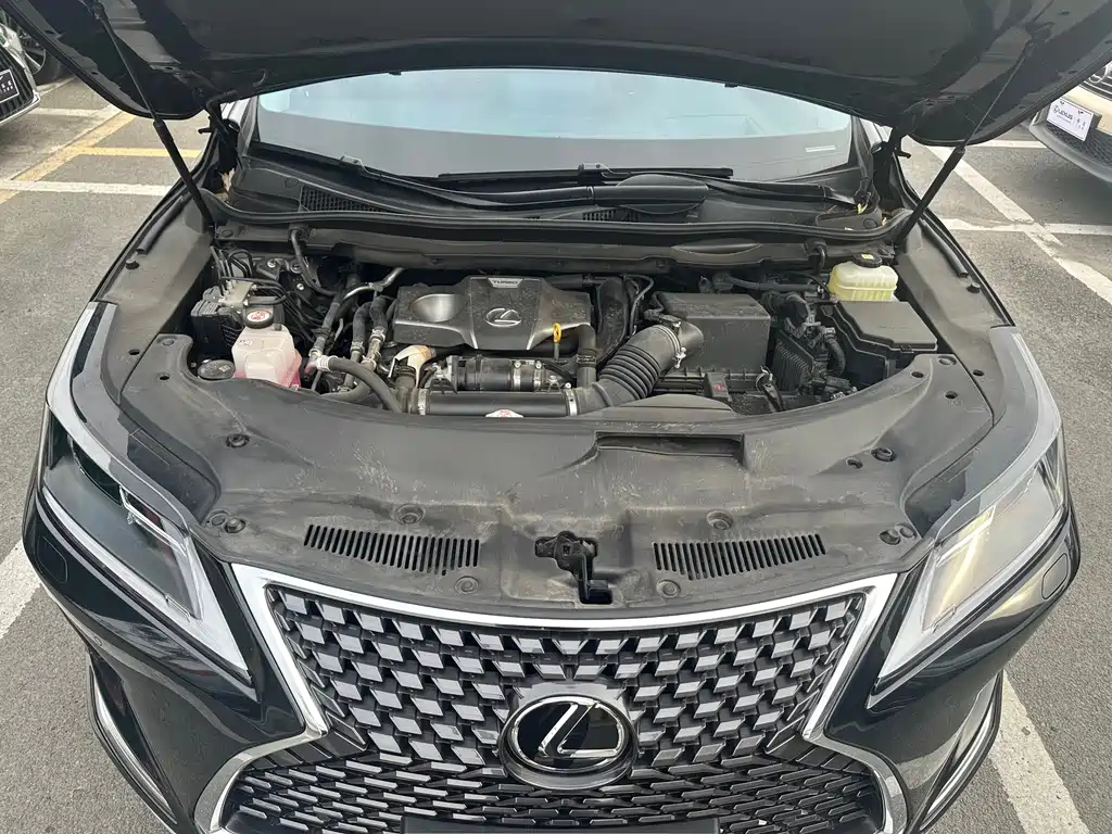 LEXUS RX 2022