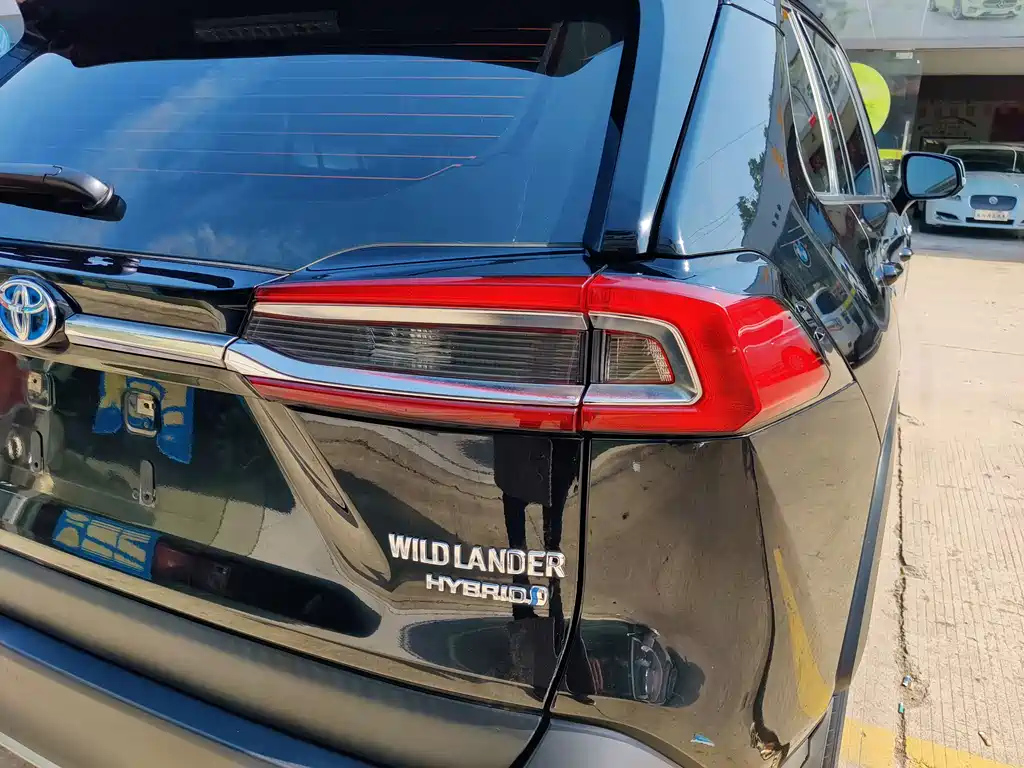 TOYOTA WILDLANDER 2021