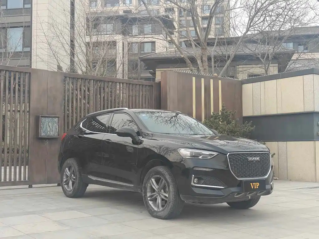 HAVAL F5 2019