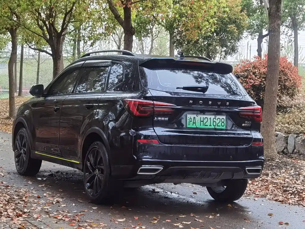 ROEWE RX5 NEW ENERGY 2021