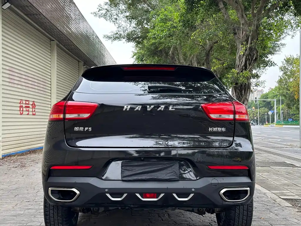HAVAL F5 2019