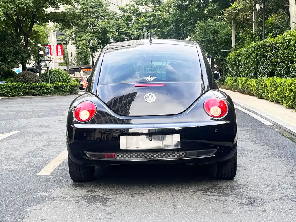 VOLKSWAGEN BEETLE 2010