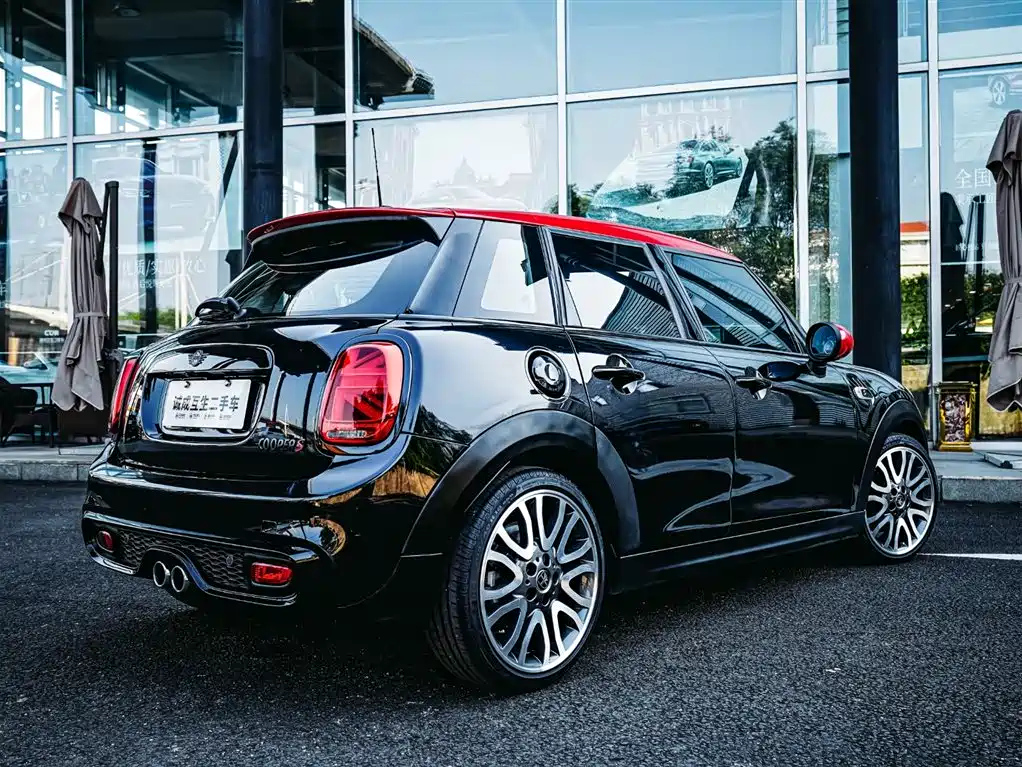 MINI OTHER 2019