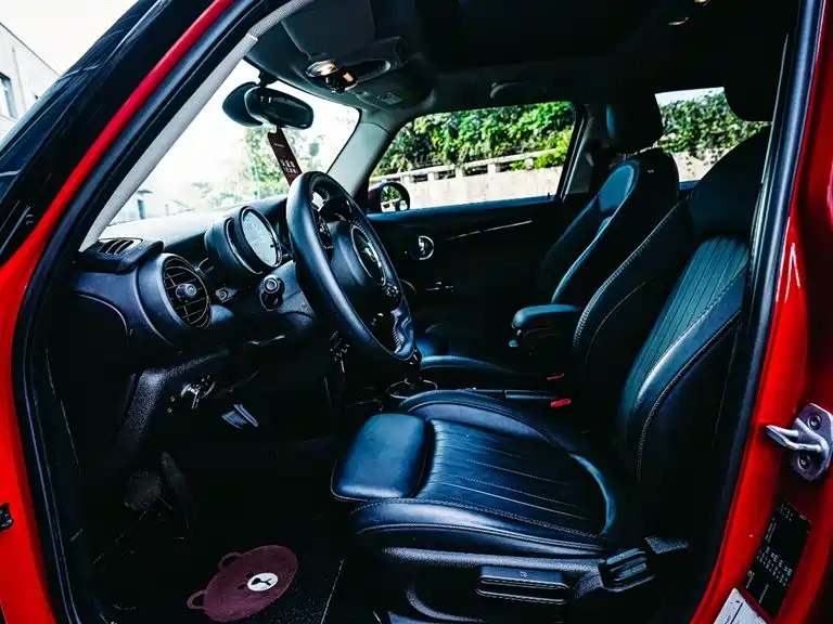 MINI OTHER 2019