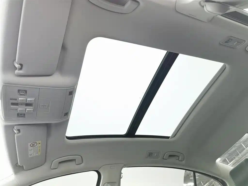 VOLKSWAGEN MAGOTAN 2020