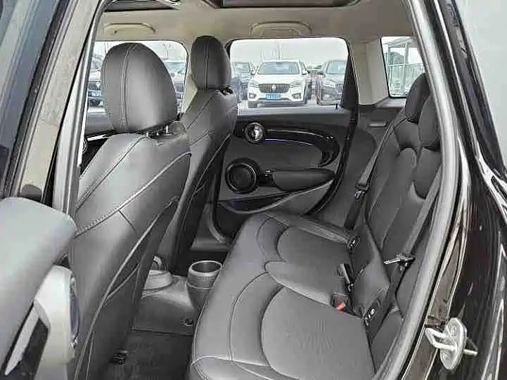 MINI OTHER 2021
