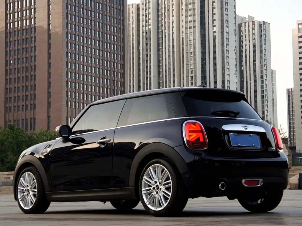 MINI OTHER 2020